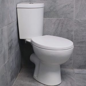 Corner Toilet