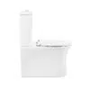 series 300 back to wall close coupled toilet